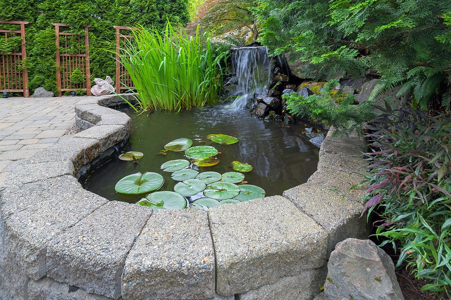 Natural stone water feature with plants in, on, and around