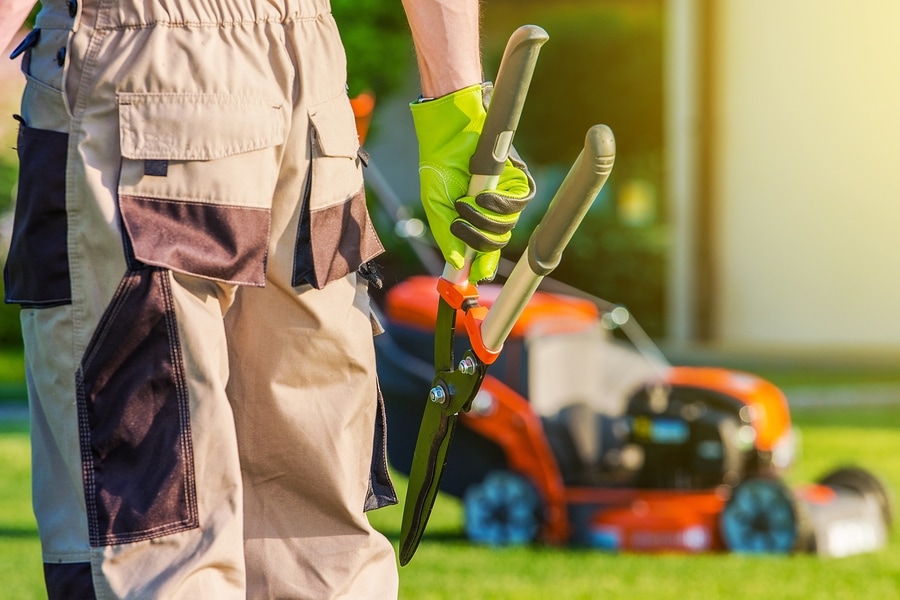 Picture of lawn service worker with tool in hand